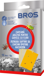Капан за насекоми в саксийните растения