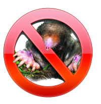 Борба с къртици